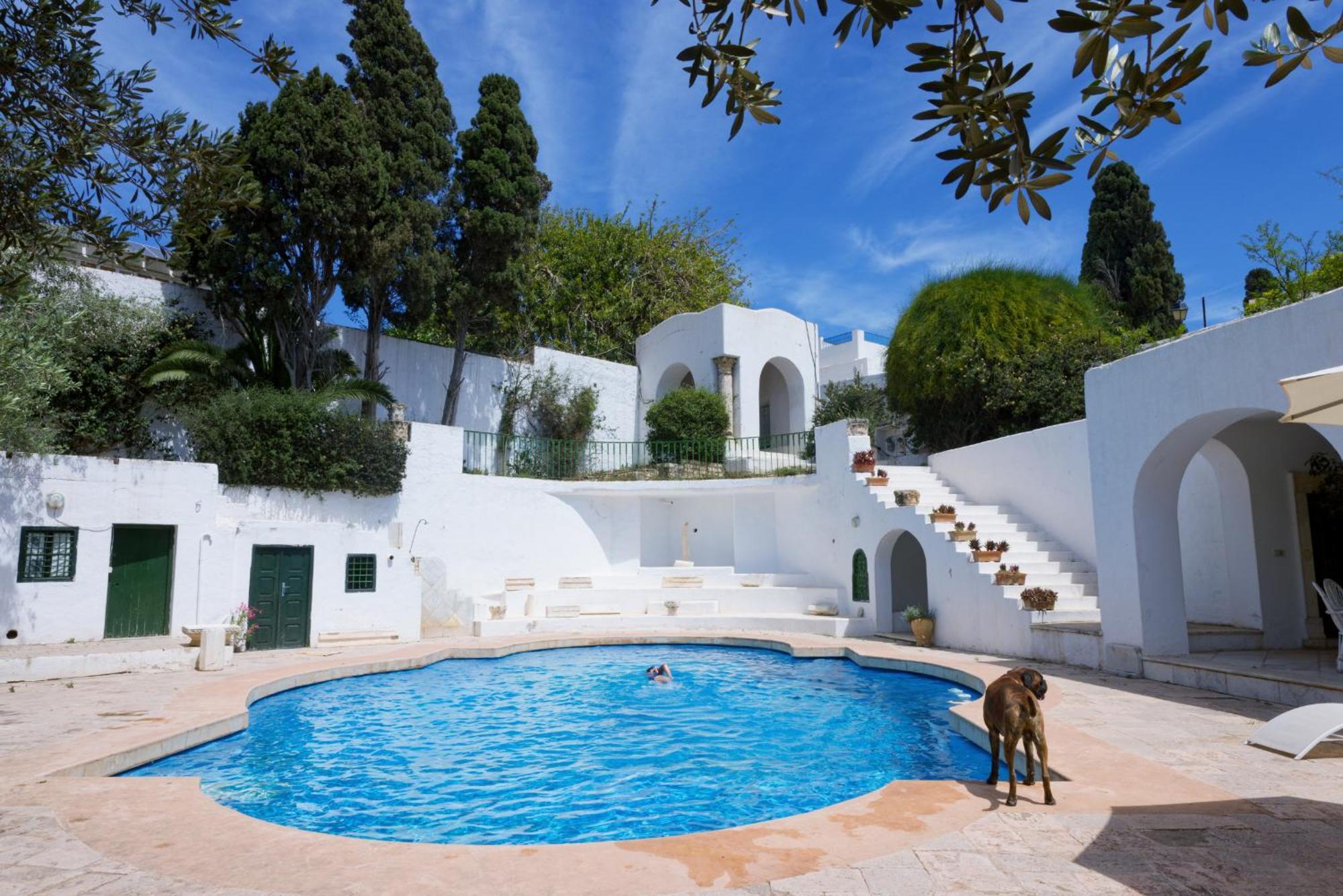 Lella Zohra, Studio Avec Piscine A Sidi Bou Said Exterior foto