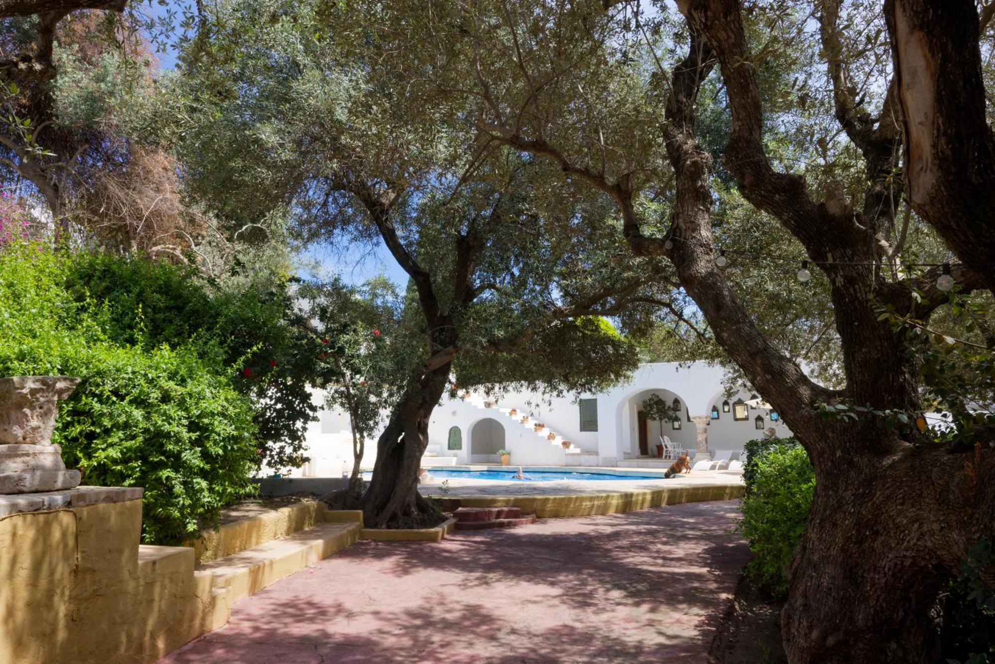 Lella Zohra, Studio Avec Piscine A Sidi Bou Said Exterior foto